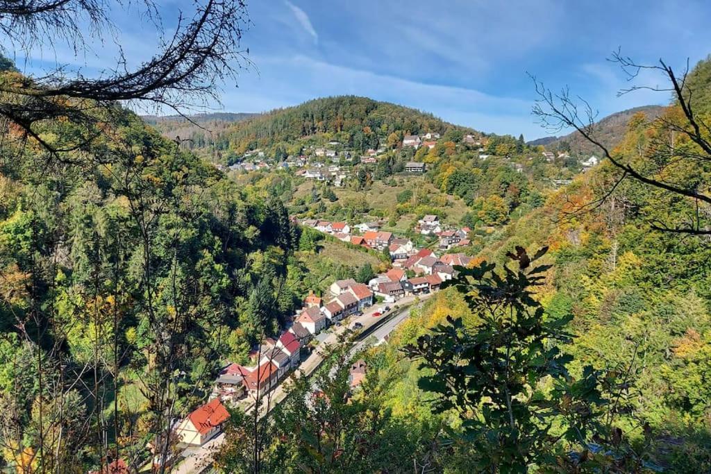 Ferienwohnung Sued - West Harz Mit Sauna E-Bikes Vorhanden! Horden am Harz 외부 사진